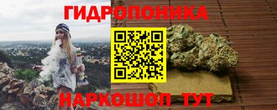 ГАЛЛЮЦИНОГЕННЫЕ ГРИБЫ Кингисепп